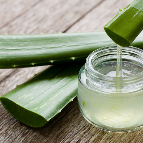 Aloe Gel
